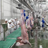 Matadero de ovejas de tecnología moderna, equipo de carnicero para matadero de ovejas, máquina de matadero de cabras