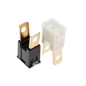 Ô Tô Xe Tải Van Cầu Chì Vuông Dài Chân Nam Cầu Chì 32V 20A 30A 40A 50A 60A 70A 80A 90A 100A 120A - Product Image 5