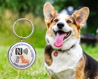 Nouveau stock d'usine à bas prix et quantité minimale de commande accessoires pour animaux de compagnie NFC rond personnalisé Mini traceur GPS portable pour chat et chien