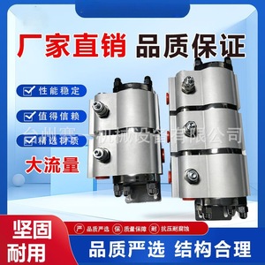 Saiyi Machinery Hydraulic Synchronous Motor SD06 Gear Type For Two Way Lifting <b>Diverter</b> Valve - Product Image 5