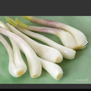 VENTE EN <span class=keywords><strong>GROS</strong></span> CHAUDE assaisonnement mariné oignon bulbeux chinois Rakkyo - Product Image 2