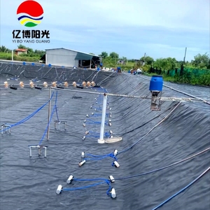 Indonesia ASTM 100% Trinh Nữ geomembrane0.3mm 0.5mm 1.0mm <span class=keywords><strong>HDPE</strong></span> <span class=keywords><strong>geomembrane</strong></span> <span class=keywords><strong>HDPE</strong></span> LDPE ao lót/Philippine/Thái Lan/Malaysia - Product Image 1