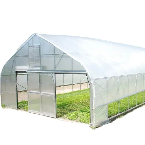 Cheap single span tunnel film greenhouse with Arch shape For Sale