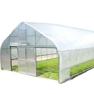 Single Film Greenhouse Cheap Single Span Tunnel Film Greenhouse With Arch Shape For Sale