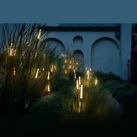 Alta calidad al aire libre Navidad jardín césped paisaje acrílico y acero 24V 1W 2W LED caña luz con punta