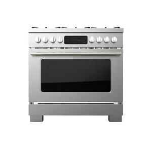 Hyxion Europe New product 122 capacity large oven electric and gas oven built-in ovens