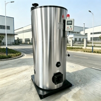 Chaudière à eau chaude entièrement automatique au fioul ou au gaz de 50 000 Kcal pour le chauffage des hôtels