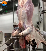 Ligne de traitement de bétail halal professionnelle clé en main, en acier inoxydable, haute productivité 800bp/h