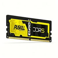 PUSKILL Professional DDR5 UDIMM Desktop RAM 8GB 16GB 32GB 4800MHz 5200MHz 288Pin 1.1V Computer DDR5 RAM Memory