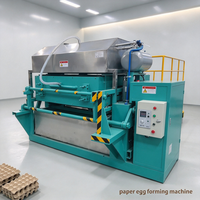 Machine à plateaux à œufs en pâte à papier durable pour des productions continues avec un processus mature et une qualité stable