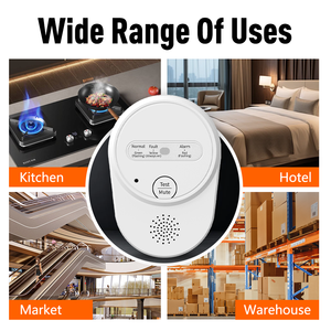 Détecteur de gaz individuel portable Bosean avec alarme <span class=keywords><strong>sonore</strong></span> pour usage domestique - Product Image 5