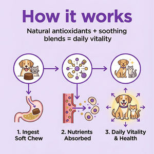 Soins <span class=keywords><strong>de</strong></span> santé <span class=keywords><strong>pour</strong></span> animaux <span class=keywords><strong>de</strong></span> compagnie, soulagement des allergies, 120 comprimés à mâcher, <span class=keywords><strong>pour</strong></span> chiens et chats, soulagement des allergies saisonnières, saveur bœuf et canard, complément alimentaire - Product Image 2