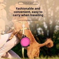 Bol double pliable pour animaux de compagnie, bol en silicone résistant aux morsures, double usage eau et nourriture, bol portable pour animaux de compagnie, séparation eau et nourriture pour extérieur
