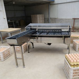 Trieuse de pouletins et d'œufs de cane avec détection par la lumière pour œufs à odeur de putréfaction - Product Image 5