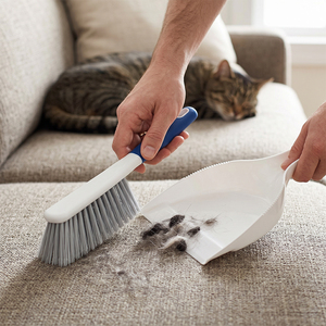 Ensemble balai et pelle portable 2 en 1, matériau PP, léger, design compact, brosse de nettoyage <span class=keywords><strong>pour</strong></span> poils d'animaux, <span class=keywords><strong>pour</strong></span> la maison et la cuisine - Product Image 6