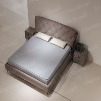 Surmatelas climatisé intelligent à IA, coussin chauffant et rafraîchissant à double zone à circulation d'eau avec rapports de données de sommeil visualisables