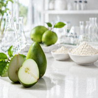 Extrait de Naringine de qualité alimentaire, jaune clair, 98% de pureté, sans solvant, extraite à l'eau, bioflavonoïdes d'agrumes, poudre d'extrait de fruit