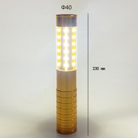 Couronne dorée de champagne, flash créatif, bâton lumineux pour vin étranger, course de cheval, soldes