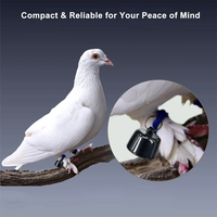 Mini traceur GPS intelligent pour animaux de compagnie, traceur GPS pour pigeon, chat, bagages