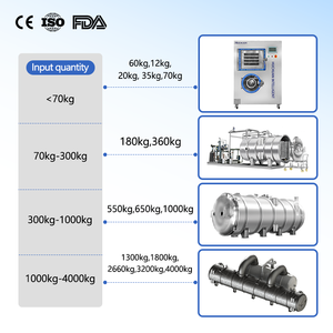 Línea de Producción de Café <span class=keywords><strong>Liofilizado</strong></span>, Máquina de Liofilización de Café, Liofilizador de Café Instantáneo - Product Image 2