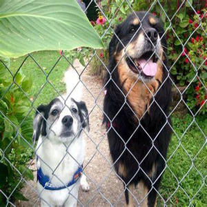 Vente en gros de poteaux de clôture à maillons de chaîne coudés de 8 pieds 13 500 Chine 10 clôtures avec 6 services de modélisation 3D peints <span class=keywords><strong>Tata</strong></span> inclus - Product Image 5