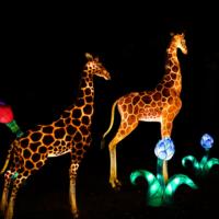 Si Hai Giraffen-Laternen Festival-Dekorative Kunstinstallation mit Seidenstoff & LED-Beleuchtung Handgefertigte Outdoor-Park-Dekoration