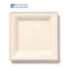 Assiettes carrées en bagasse de canne à sucre de 6/8/10 pouces, personnalisables, micro-ondables, compostables, biodégradables, en papier bagasse - Product Image 3