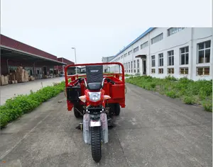 Gemotoriseerde driewielers pedicabs trikes drie wielers met ladingen aanpasbare 200cc
