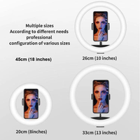 Kaliou Anneau lumineux LED RGB en alliage d'aluminium de 26 cm (10 pouces) alimenté par USB, projecteur d'appoint pour maquillage, réglable et intensité variable avec télécommande