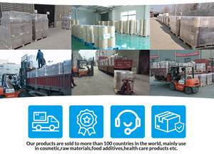 Polvo de canela de Ceilán Extractos vegetales Suplementos Alimenticios una gema aromática - Product Image 6