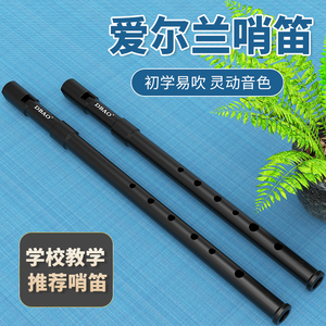 DBAOアイリッシュホイッスルビギナーのABSフルート6穴CおよびDハイトーンメタルレコーダークラリネット - Product Image 2