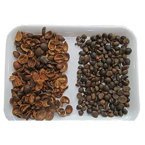 2025 Wesort, новейшая оптовая продажа, сортировочная машина для сортировки по цветам, по низкой цене - Product Image 6