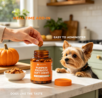 Friandises à mâcher molles probiotiques à la citrouille pour chiens – Soutien digestif, santé intestinale, diarrhée, aide à la régularité des selles – Tous âges – Durée de conservation : 2 ans