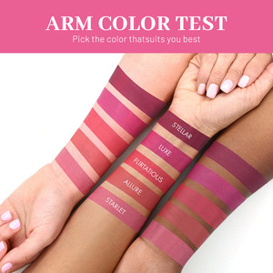 Bán Buôn Lip Bộ Dụng Cụ 2 Trong 1 Lip Lót Và Son Bóng Không Thấm Nước Matte Lipgloss Lipliner Trong 1 Hộp Set Lip Lót Và Lip Gloss Bộ - Product Image 5