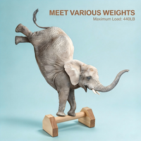 Alat Push-up Stand, Bar Push-up Kayu dengan Alas Anti-Selip, Peralatan Olahraga Rumahan, Pegangan Parallet Kayu 30CM