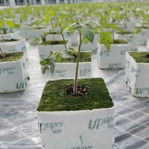 UPuper無料サンプル植物基質自動農業植物根屋内水耕栽培自動野菜栽培ボックス