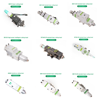BM111-2D 3kw Raytools Torche de découpe laser à fibre à mise au point automatique, état neuf, prix compétitif pour la découpe de métaux à longueur d'onde de 1064 nm