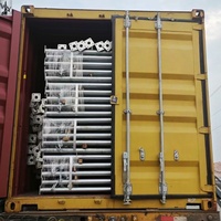 Élément vertical d'échafaudage en acier galvanisé de type échelle, personnalisable, en acier Q235 Q345, pour maçonnerie, avec accès facile