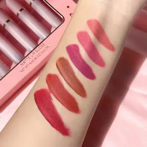 Wholesale Matte Lip Kit Custom Lipgloss Brands Coral Pink Liquid Lipstick Set Make Your Own Logo Private Label