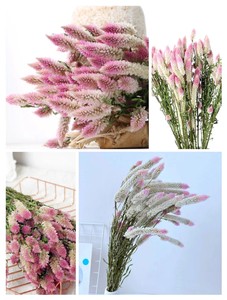 Flores Secas Ombre (Cola de Fénix/<span class=keywords><strong>Celosia</strong></span>) Blancas y Rosas de 60-70cm para Regalos de Navidad y Decoración del Hogar - Product Image 5