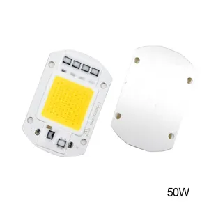 Full Spectrum LED COB Chip 20W 30W 50W Smart IC Chip 220V 240V LED Floodlight Spotlight Light Bead
