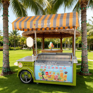 Chariot de vente ambulante personnalisé pour glaces et plats rapides, avec parasol, construction métallique résistante à la rouille - Product Image 2