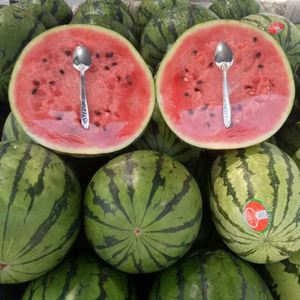 Wholesale Cheap Spoon 10g 11g 12g Stainless Steel Spoon Watermelon Spoon Disposable for Gift and Daily - Product Image 5