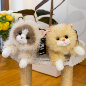 Peluche de Gato Ragdoll Blanco y Negro, Simulación de Alta Calidad, Lindo Gatito de Peluche con Pelo Largo, Muñeco de Peluche, Regalo para Niñas y Amigas, Venta al por Mayor - Product Image 6