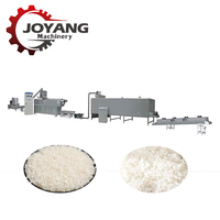 Machine d'extrusion de riz fortifié à double vis de haute qualité, machine de fabrication de riz nutritif, ligne de production