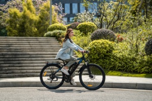 Bicicleta Eléctrica de Montaña Duotts C29 para Cross-Country con Cuadro de Aluminio y Motor en el Buje Trasero - Product Image 3