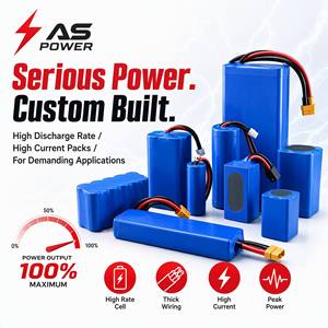 Paket Baterai Lithium Custom Ansen AS-DCZ OEM Grosir Pesanan Massal Stok Gudang Pengiriman Global Semua Ukuran Tegangan 1000 Siklus - Product Image 3