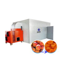 Fruitdroger Machine Prijzen In Zuid-Afrika Pruim Dehydrator Pruimen Droogmachine