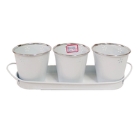 Ensemble de pots à plantes succulentes en métal galvanisé avec plateau de drainage, pot de fleurs d'intérieur pour fenêtre de cuisine, décoration de jardin à domicile