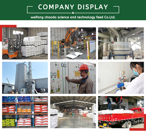 Rcg65 nhà lai tạo lớp premix 6% 18 + Tuần chất lượng trứng Enhancer số lượng lớn tập trung gà thức ăn phụ gia Omega-3 thức ăn chăn nuôi - Product Image 6